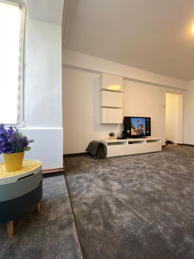 Pucioasa Apartament David 아파트 외부 사진